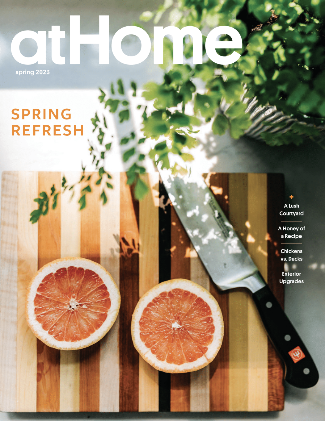 Caroline Brackett Studio of Design - at Home Press